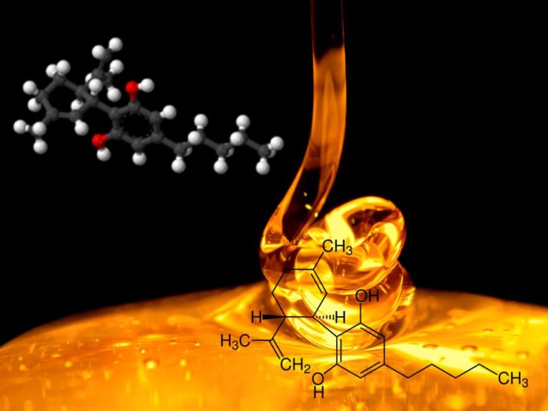 Cannabis medicinal y extracción de cannabinoides